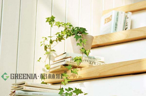 室內(nèi)環(huán)保裝修